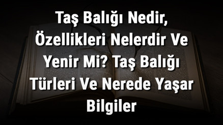 Taş Balığı Nedir, Özellikleri Nelerdir Ve Yenir Mi Taş Balığı Türleri Ve Nerede Yaşar Bilgiler