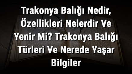 Trakonya Balığı Nedir, Özellikleri Nelerdir Ve Yenir Mi Trakonya Balığı Türleri Ve Nerede Yaşar Bilgiler