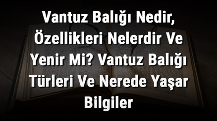 Vantuz Balığı Nedir, Özellikleri Nelerdir Ve Yenir Mi Vantuz Balığı Türleri Ve Nerede Yaşar Bilgiler