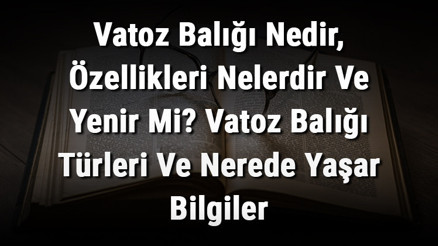Vatoz Balığı Nedir, Özellikleri Nelerdir Ve Yenir Mi Vatoz Balığı Türleri Ve Nerede Yaşar Bilgiler