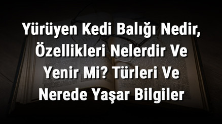 Yürüyen Kedi Balığı Nedir, Özellikleri Nelerdir Ve Yenir Mi Türleri Ve Nerede Yaşar Bilgiler Yürüyen Kedi Balığı Nedir, Özellikleri Nelerdir Ve Yenir Mi Türleri Ve Nerede Yaşar Bilgiler