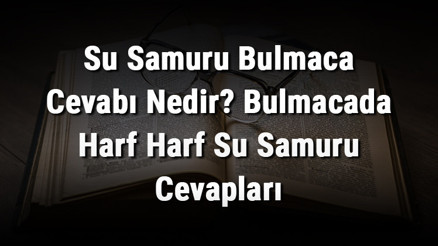 Su Samuru Bulmaca Cevabı Nedir Bulmacada Harf Harf Su Samuru Cevapları