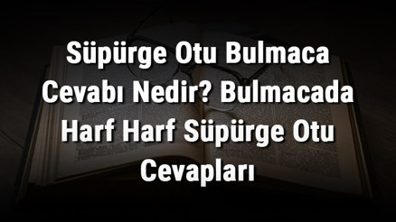 Süpürge Otu Bulmaca Cevabı Nedir Bulmacada Harf Harf Süpürge Otu Cevapları