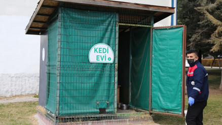 İsteyen siteye kedi evi İsteyen siteye kedi evi