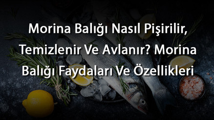 Morina Balığı Nasıl Pişirilir, Temizlenir Ve Avlanır Morina Balığı Faydaları Ve Özellikleri Morina Balığı Nasıl Pişirilir, Temizlenir Ve Avlanır Morina Balığı Faydaları Ve Özellikleri