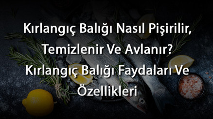 Kırlangıç Balığı Nasıl Pişirilir, Temizlenir Ve Avlanır Kırlangıç Balığı Faydaları Ve Özellikleri