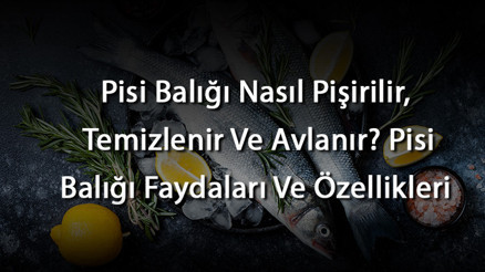 Pisi Balığı Nasıl Pişirilir, Temizlenir Ve Avlanır Pisi Balığı Faydaları Ve Özellikleri
