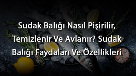 Sudak Balığı Nasıl Pişirilir, Temizlenir Ve Avlanır Sudak Balığı Faydaları Ve Özellikleri