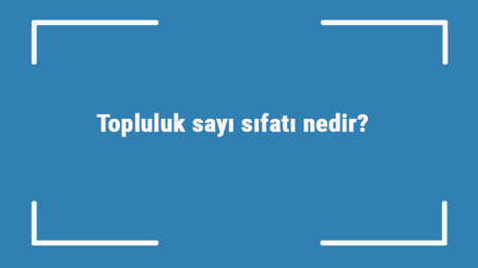 Topluluk sayı sıfatı nedir Topluluk sayı sıfatı ile ilgili örnek cümleler ve konu anlatımı