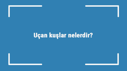 Uçan kuşlar nelerdir Uçan kanatlı kuş türleri ve isimleri