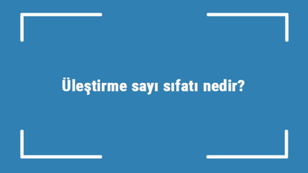 Üleştirme sayı sıfatı nedir Üleştirme sayı sıfatı ile ilgili örnek cümleler ve konu anlatımı