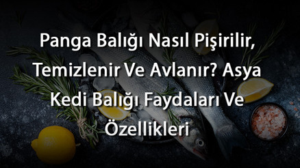 Panga Balığı Nasıl Pişirilir, Temizlenir Ve Avlanır Asya Kedi Balığı Faydaları Ve Özellikleri