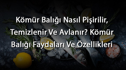 Kömür Balığı Nasıl Pişirilir, Temizlenir Ve Avlanır Kömür Balığı Faydaları Ve Özellikleri