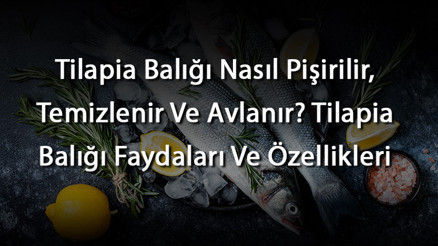 Tilapia Balığı Nasıl Pişirilir, Temizlenir Ve Avlanır Tilapia Balığı Faydaları Ve Özellikleri