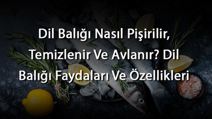 Dil Balığı Nasıl Pişirilir, Temizlenir Ve Avlanır Dil Balığı Faydaları Ve Özellikleri