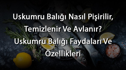 Uskumru Balığı Nasıl Pişirilir, Temizlenir Ve Avlanır Uskumru Balığı Faydaları Ve Özellikleri Uskumru Balığı Nasıl Pişirilir, Temizlenir Ve Avlanır Uskumru Balığı Faydaları Ve Özellikleri