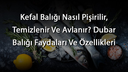 Kefal Balığı Nasıl Pişirilir, Temizlenir Ve Avlanır Dubar Balığı Faydaları Ve Özellikleri