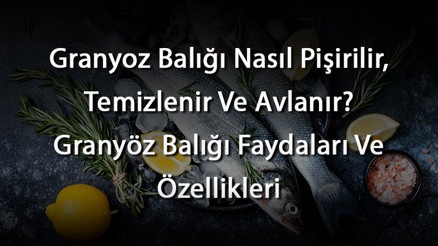 Granyoz Balığı Nasıl Pişirilir, Temizlenir Ve Avlanır Granyöz Balığı Faydaları Ve Özellikleri