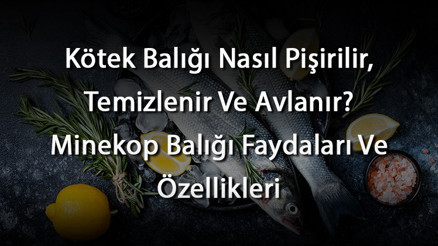 Kötek Balığı Nasıl Pişirilir, Temizlenir Ve Avlanır Minekop Balığı Faydaları Ve Özellikleri