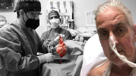 İnsana nakledilen domuz kalbinde virüs bulundu