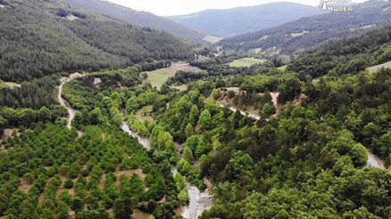 OGM kura sonuçları açıklandı mı Orman Genel Müdürlüğü 5 bin işçi alımı kura sonuçlarında son durum OGM kura sonuçları açıklandı mı Orman Genel Müdürlüğü 5 bin işçi alımı kura sonuçlarında son durum