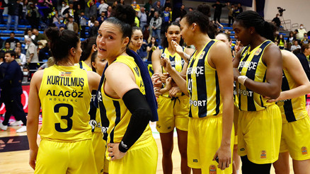 Fenerbahçe Safiport, Mersine şans tanımadı