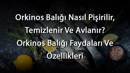 Orkinos Balığı Nasıl Pişirilir, Temizlenir Ve Avlanır Orkinos Balığı Faydaları Ve Özellikleri Orkinos Balığı Nasıl Pişirilir, Temizlenir Ve Avlanır Orkinos Balığı Faydaları Ve Özellikleri