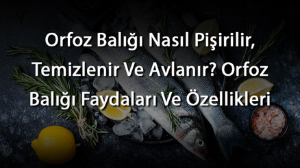 Orfoz Balığı Nasıl Pişirilir, Temizlenir Ve Avlanır Orfoz Balığı Faydaları Ve Özellikleri