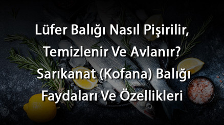 Lüfer Balığı Nasıl Pişirilir, Temizlenir Ve Avlanır Sarıkanat (Kofana) Balığı Faydaları Ve Özellikleri
