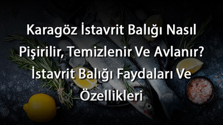 Karagöz İstavrit Balığı Nasıl Pişirilir, Temizlenir Ve Avlanır İstavrit Balığı Faydaları Ve Özellikleri