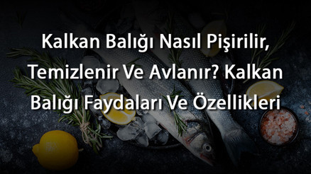 Kalkan Balığı Nasıl Pişirilir, Temizlenir Ve Avlanır Kalkan Balığı Faydaları Ve Özellikleri