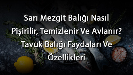 Sarı Mezgit Balığı Nasıl Pişirilir, Temizlenir Ve Avlanır Tavuk Balığı Faydaları Ve Özellikleri