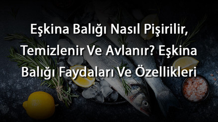 Eşkina Balığı Nasıl Pişirilir, Temizlenir Ve Avlanır Eşkina Balığı Faydaları Ve Özellikleri