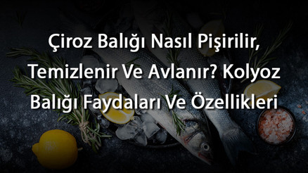 Çiroz Balığı Nasıl Pişirilir, Temizlenir Ve Avlanır Kolyoz Balığı Faydaları Ve Özellikleri