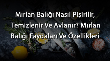 Mırlan Balığı Nasıl Pişirilir, Temizlenir Ve Avlanır Mırlan Balığı Faydaları Ve Özellikleri