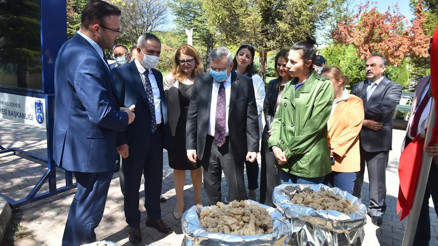 Başkentin 5 beyazı