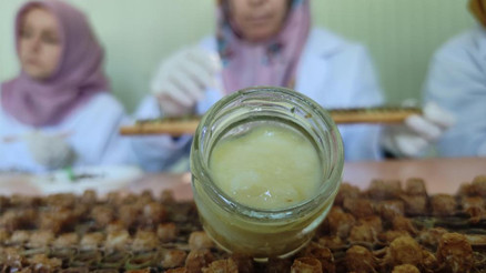 Hücre yeniliyor Kilosu 10 bin liradan satışa çıktı