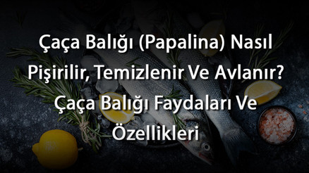 Çaça Balığı (Papalina) Nasıl Pişirilir, Temizlenir Ve Avlanır Çaça Balığı Faydaları Ve Özellikleri