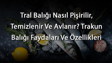 Tral Balığı Nasıl Pişirilir, Temizlenir Ve Avlanır Trakun Balığı Faydaları Ve Özellikleri
