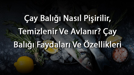 Çay Balığı Nasıl Pişirilir, Temizlenir Ve Avlanır Çay Balığı Faydaları Ve Özellikleri
