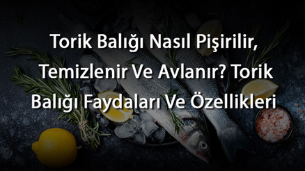 Torik Balığı Nasıl Pişirilir, Temizlenir Ve Avlanır Torik Balığı Faydaları Ve Özellikleri