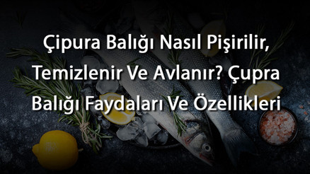 Çipura Balığı Nasıl Pişirilir, Temizlenir Ve Avlanır Çupra Balığı Faydaları Ve Özellikleri Çipura Balığı Nasıl Pişirilir, Temizlenir Ve Avlanır Çupra Balığı Faydaları Ve Özellikleri