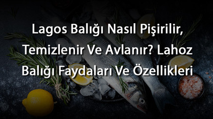 Lagos Balığı Nasıl Pişirilir, Temizlenir Ve Avlanır Lahoz Balığı Faydaları Ve Özellikleri