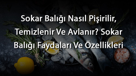 Sokar Balığı Nasıl Pişirilir, Temizlenir Ve Avlanır Sokar Balığı Faydaları Ve Özellikleri