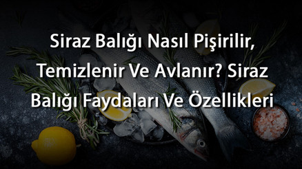 Siraz Balığı Nasıl Pişirilir, Temizlenir Ve Avlanır Siraz Balığı Faydaları Ve Özellikleri Siraz Balığı Nasıl Pişirilir, Temizlenir Ve Avlanır Siraz Balığı Faydaları Ve Özellikleri