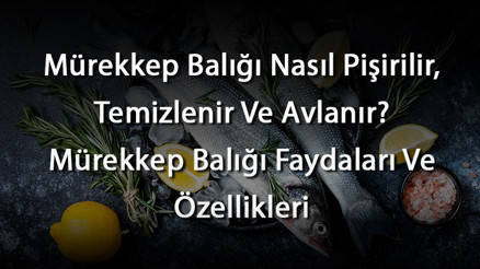 Mürekkep Balığı Nasıl Pişirilir, Temizlenir Ve Avlanır Mürekkep Balığı Faydaları Ve Özellikleri