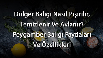 Dülger Balığı Nasıl Pişirilir, Temizlenir Ve Avlanır Peygamber Balığı Faydaları Ve Özellikleri