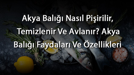 Akya Balığı Nasıl Pişirilir, Temizlenir Ve Avlanır Akya Balığı Faydaları Ve Özellikleri