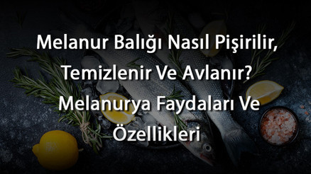 Melanur Balığı Nasıl Pişirilir, Temizlenir Ve Avlanır Melanurya Faydaları Ve Özellikleri Melanur Balığı Nasıl Pişirilir, Temizlenir Ve Avlanır Melanurya Faydaları Ve Özellikleri