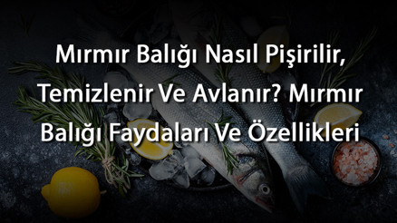 Mırmır Balığı Nasıl Pişirilir, Temizlenir Ve Avlanır Mırmır Balığı Faydaları Ve Özellikleri